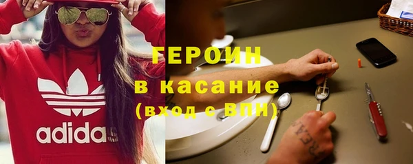шишки Аркадак
