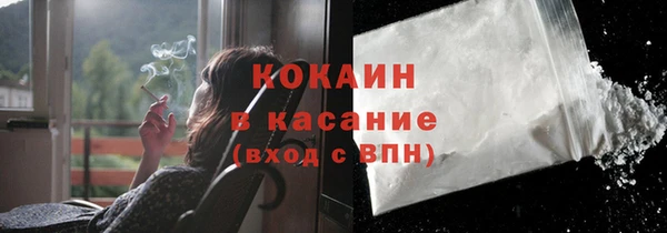 индика Арсеньев