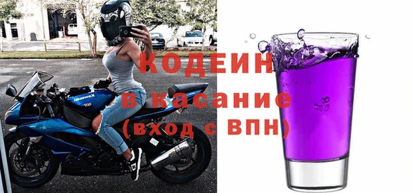 индика Арсеньев