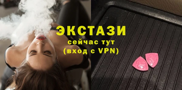 шишки Аркадак