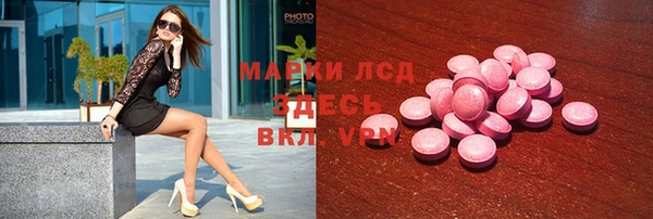 шишки Аркадак