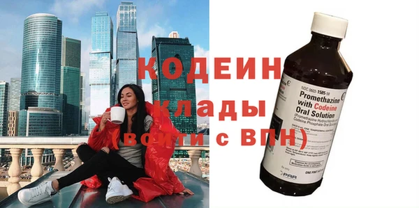 индика Арсеньев