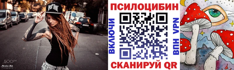 mega tor  дарк нет Telegram  Галлюциногенные грибы Psilocybine cubensis  Камешково 